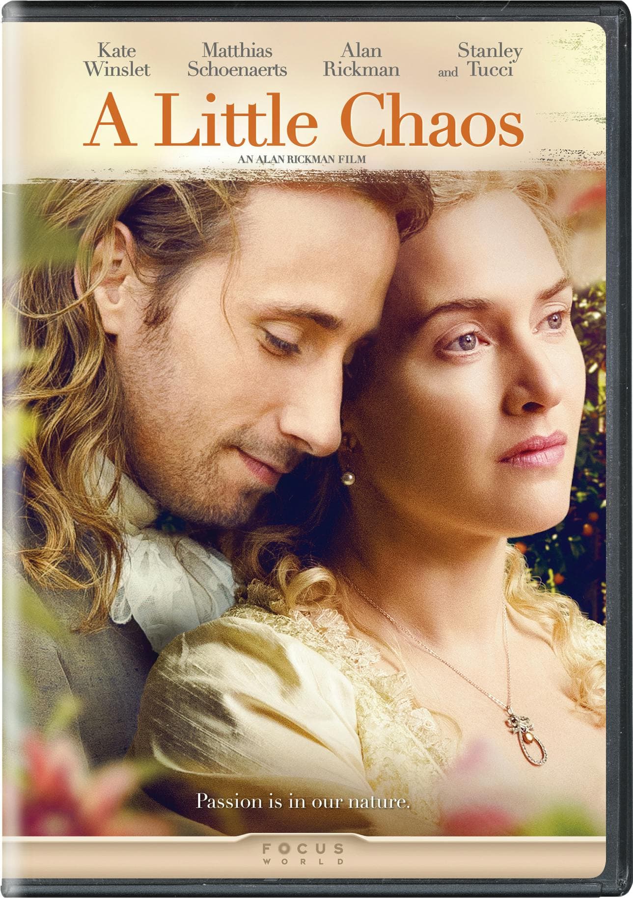 A Little Chaos poster