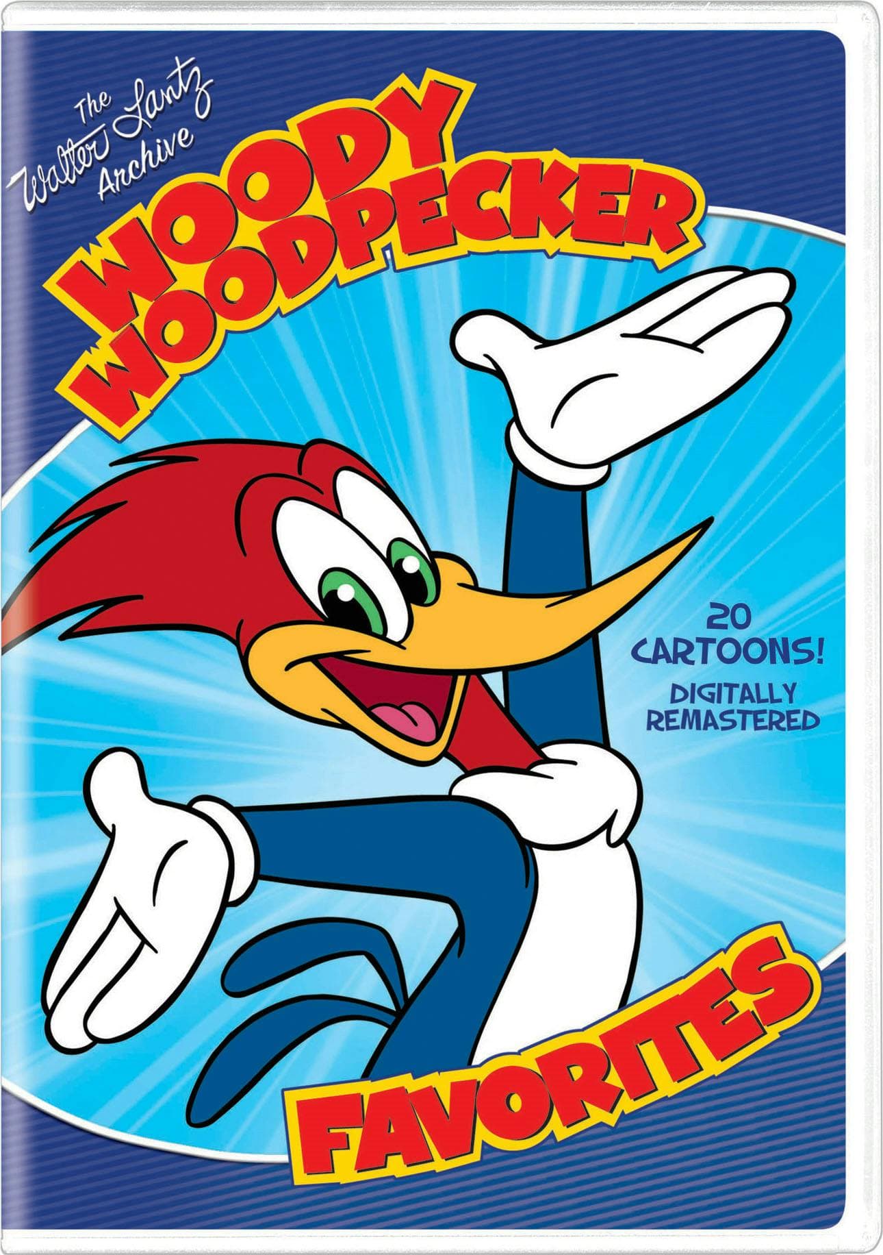 Woody Woodpecker Favorites (2009) poster