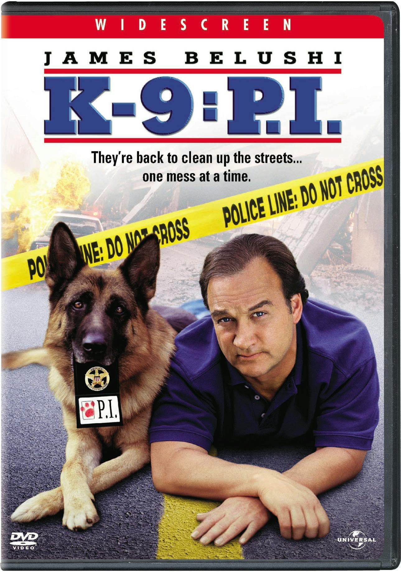 K-9: P.I. poster