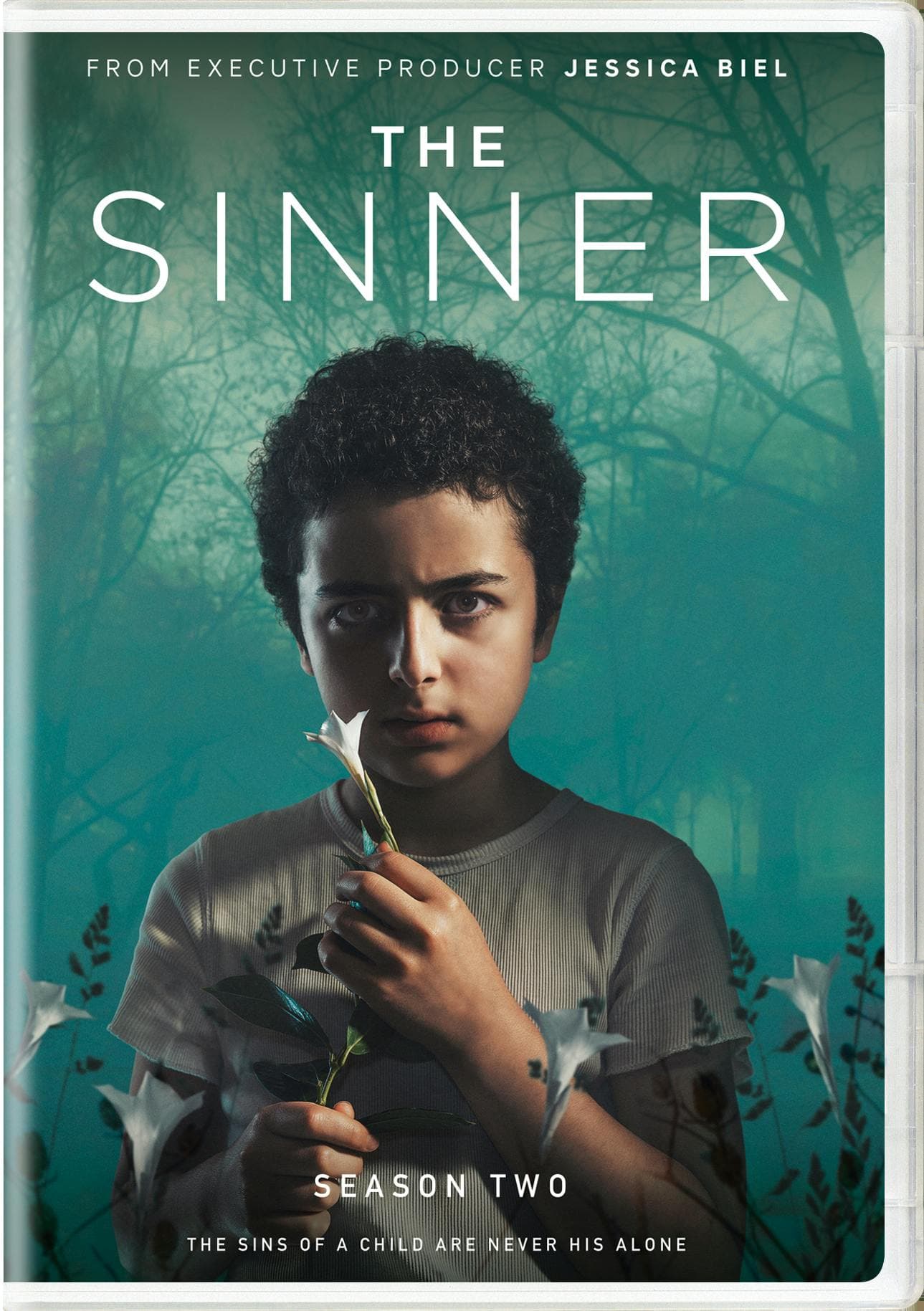 The Sinner: Season Two poster