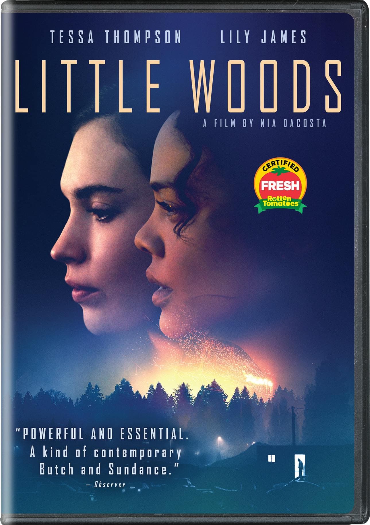 Little Woods poster