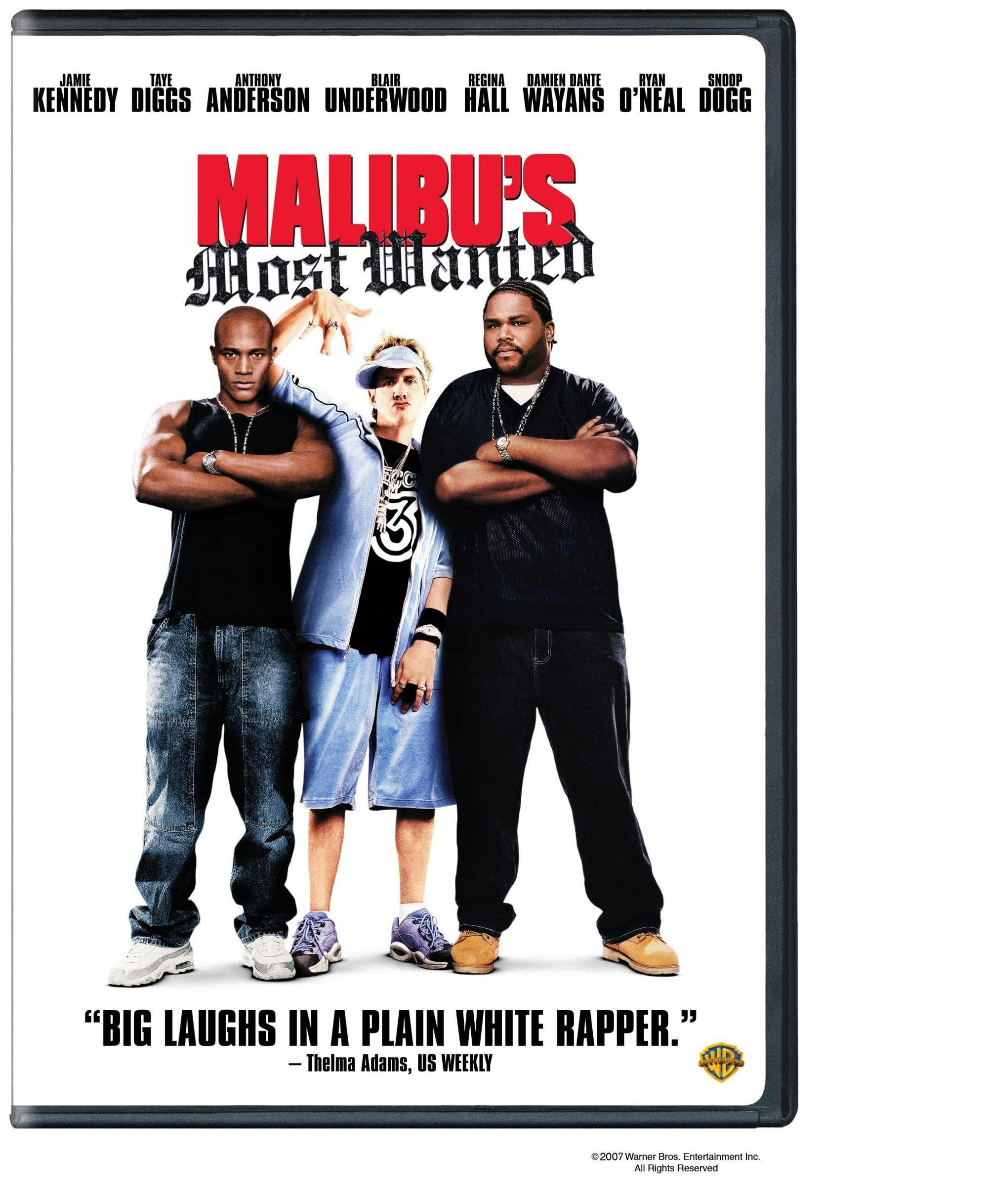 Malibu's Most Wanted poster