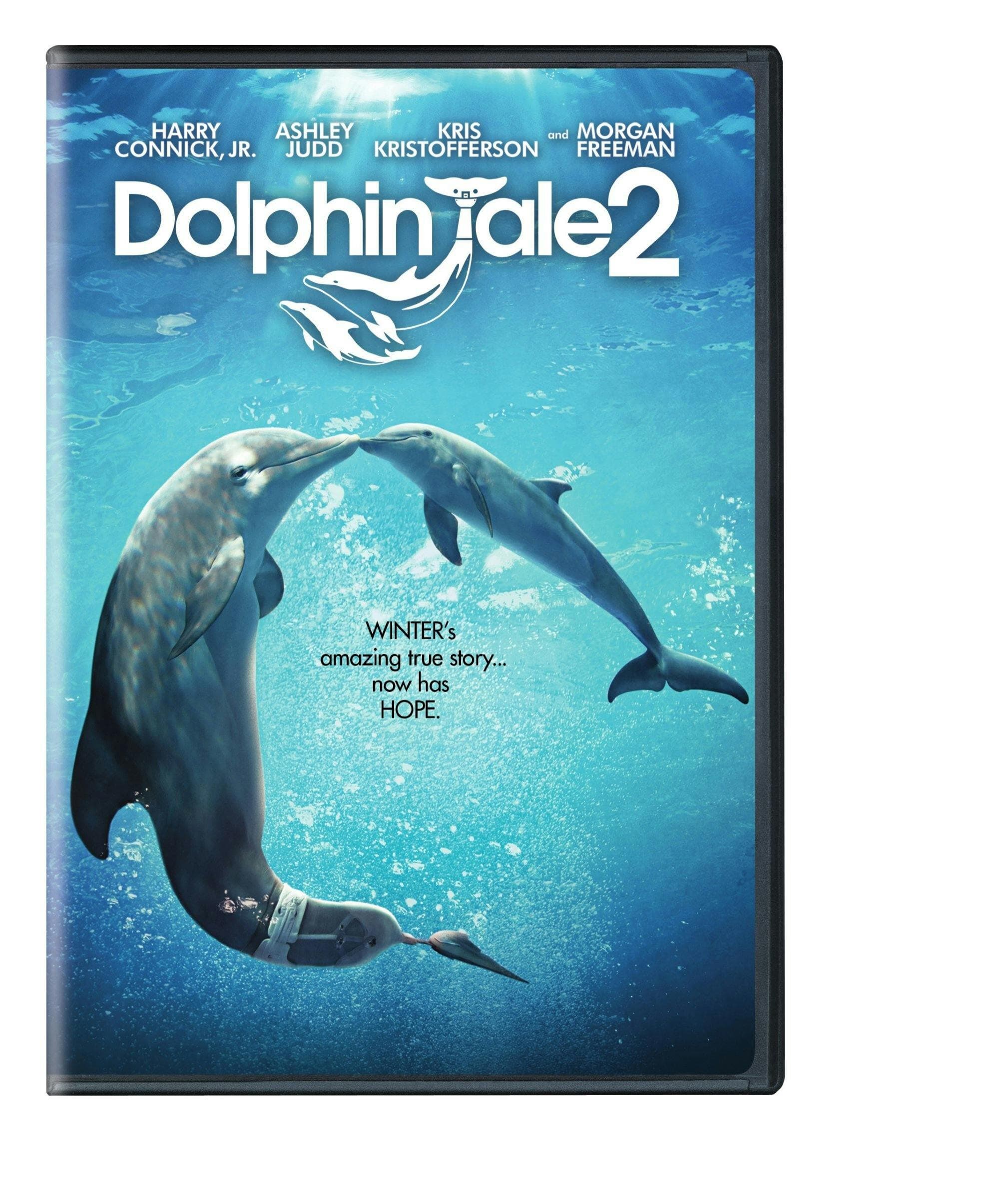 Dolphin Tale 2 poster