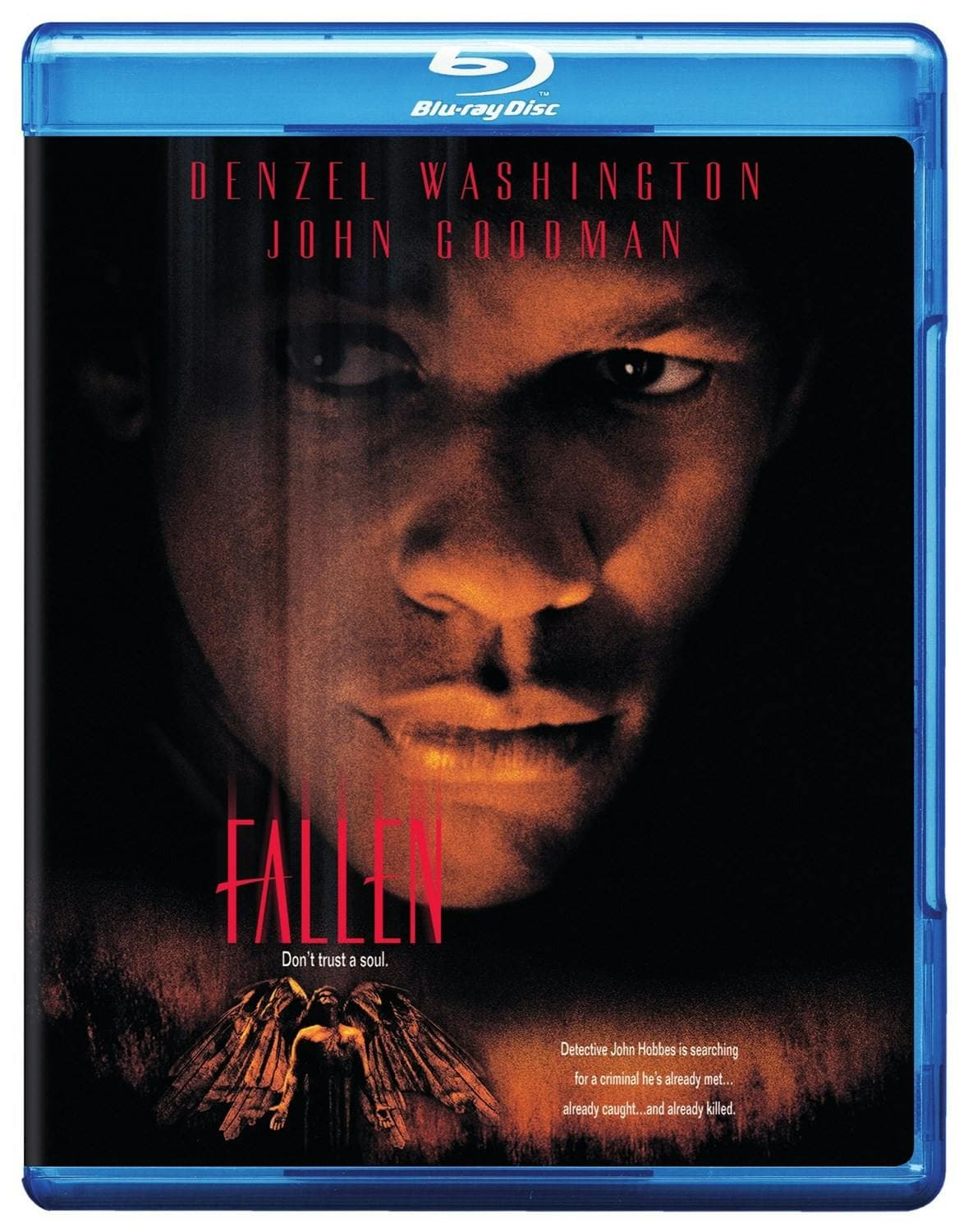 Fallen poster