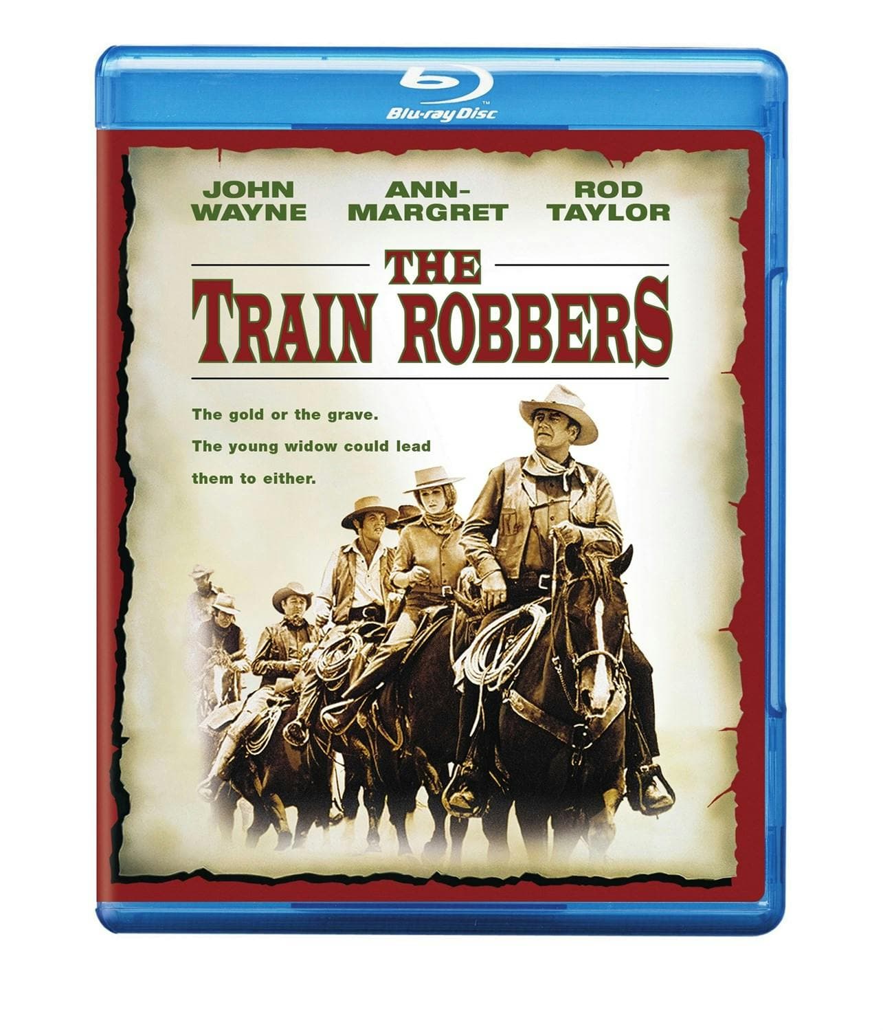 The Train Robbers poster