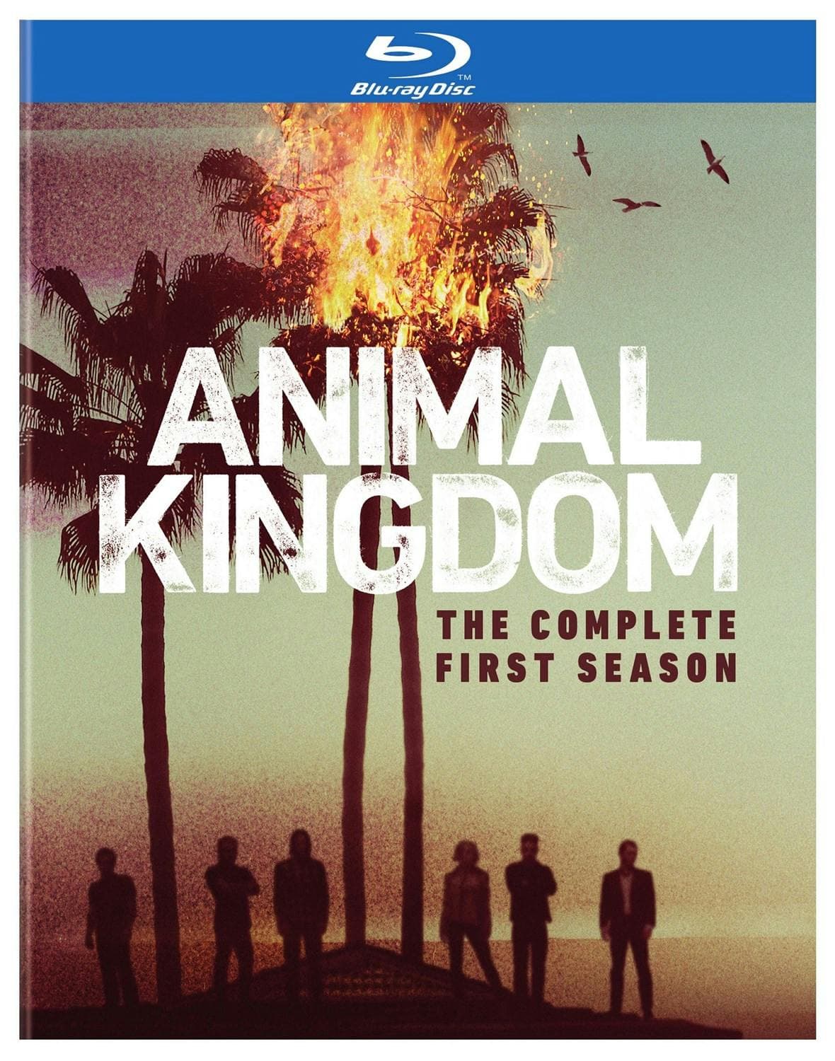 Animal Kingdom: The Complete First Season poster