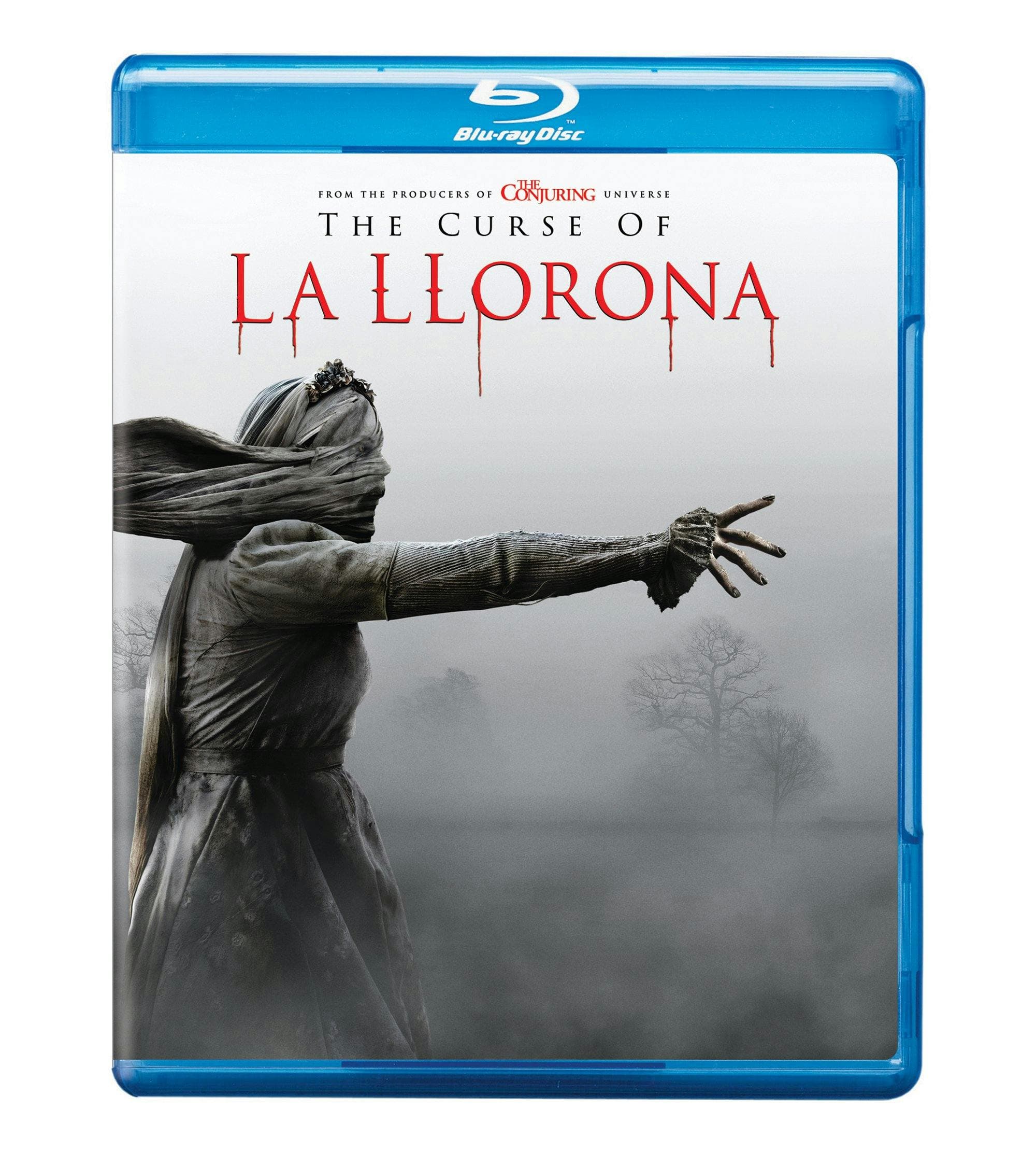 The Curse of La Llorona poster
