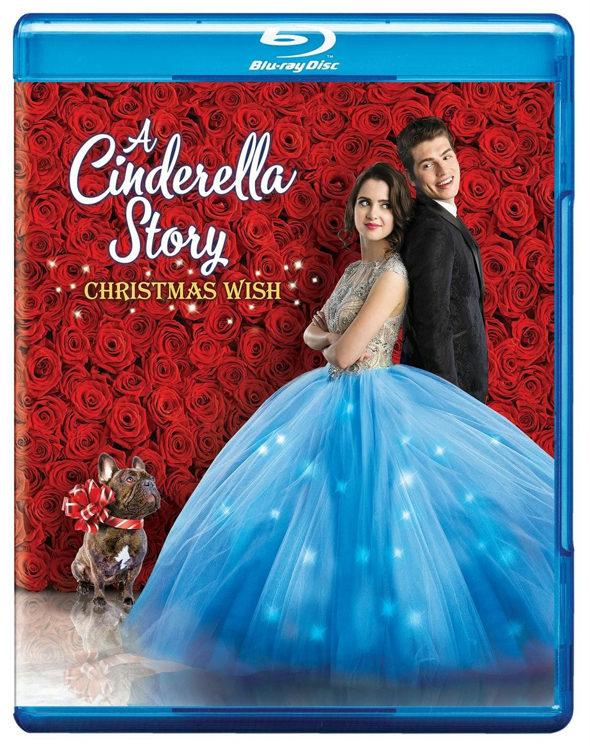 Cinderella Story, A: Christmas Wish poster