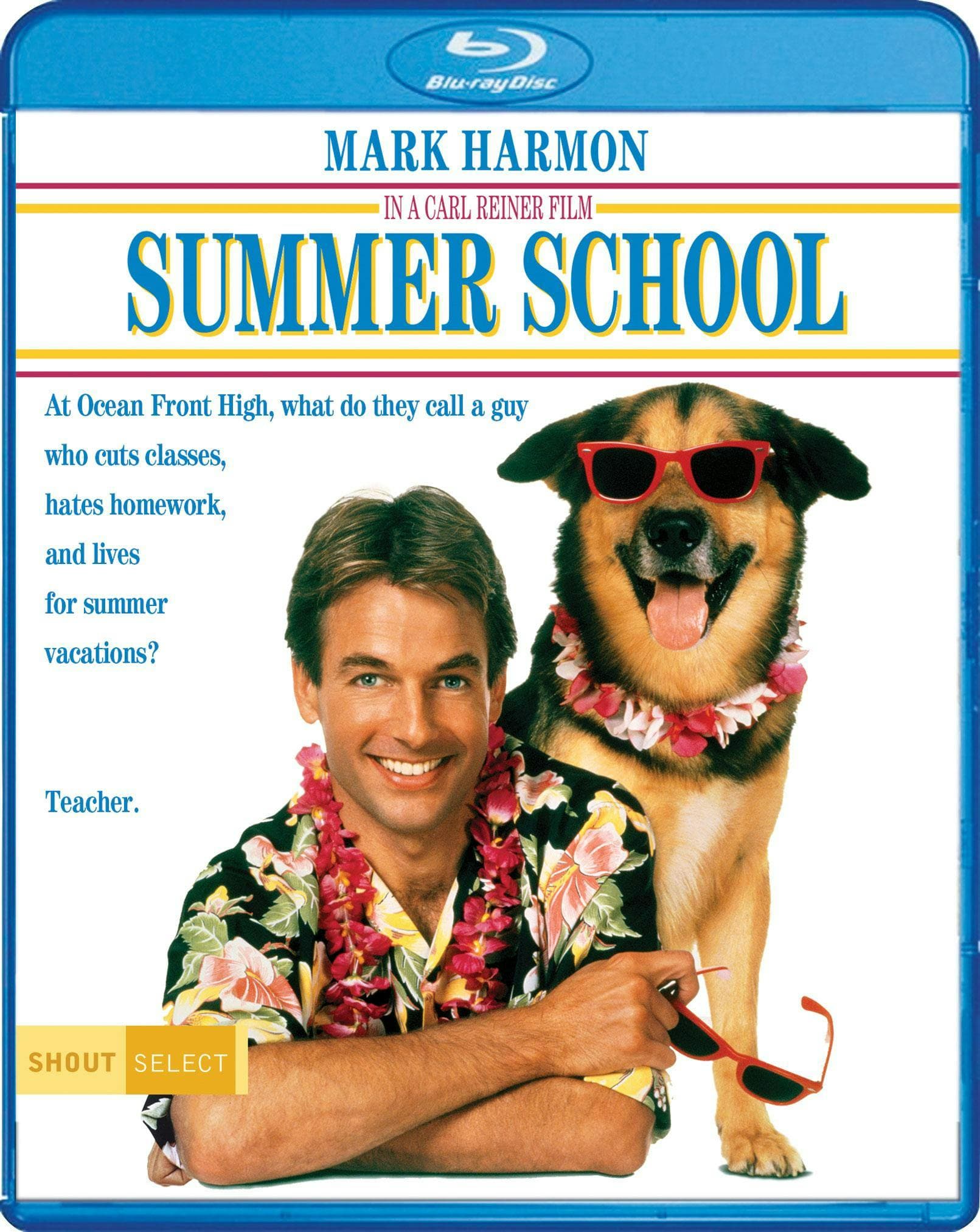 Summer School poster