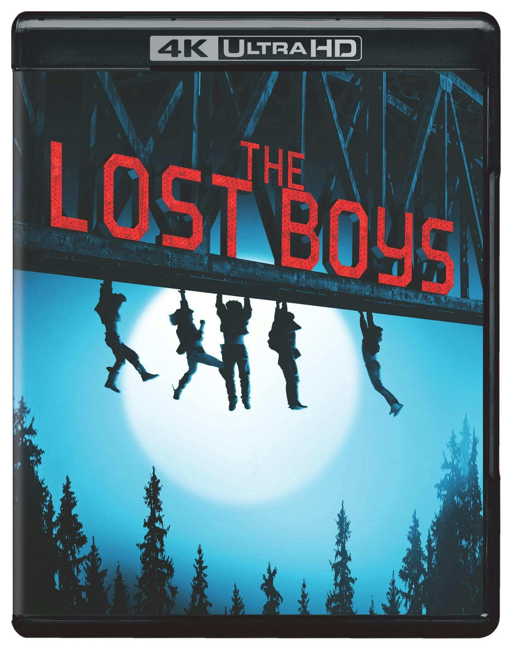 The Lost Boys poster