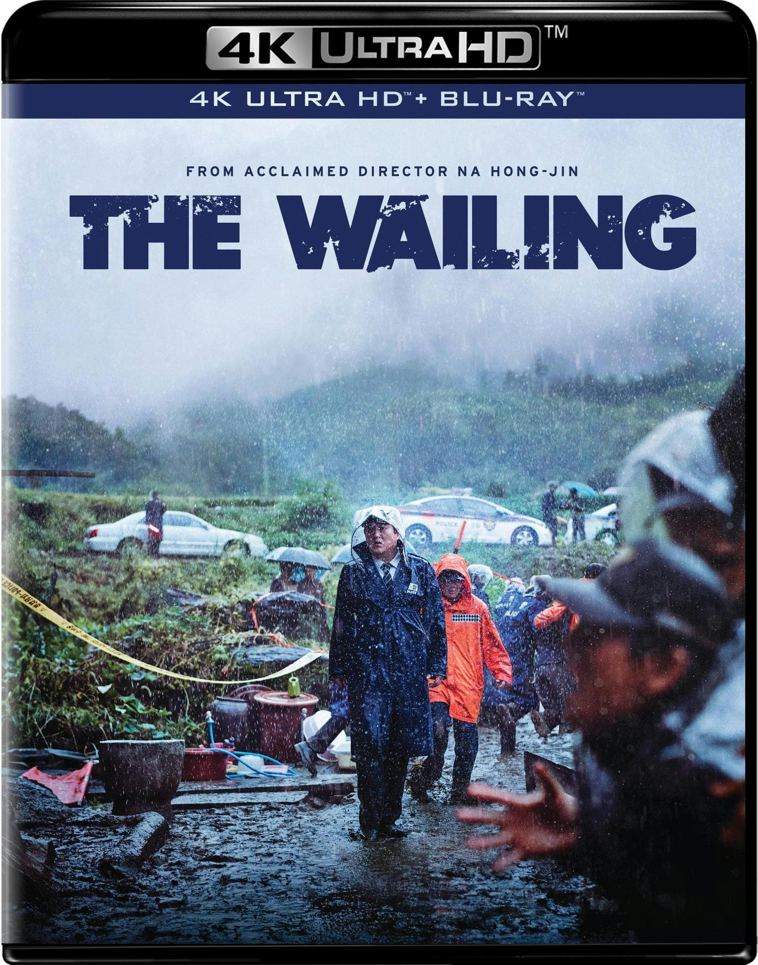 The Wailing poster