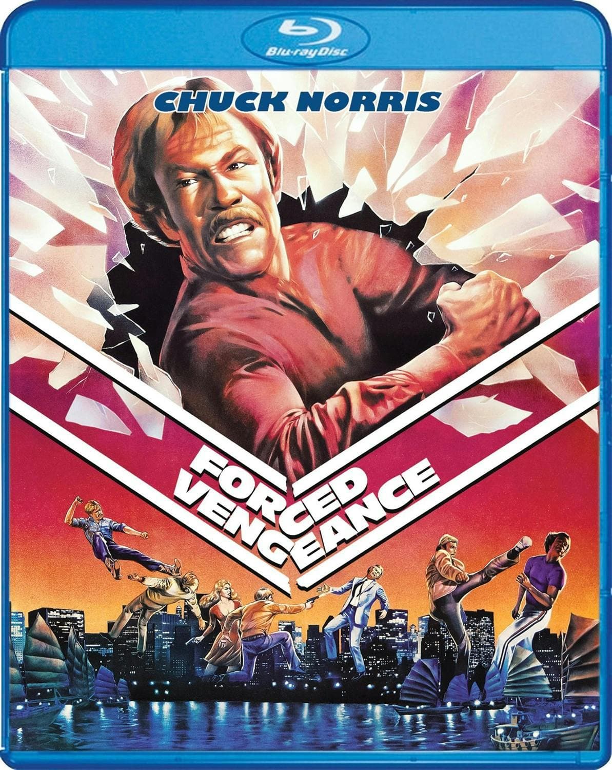 Forced Vengeance poster