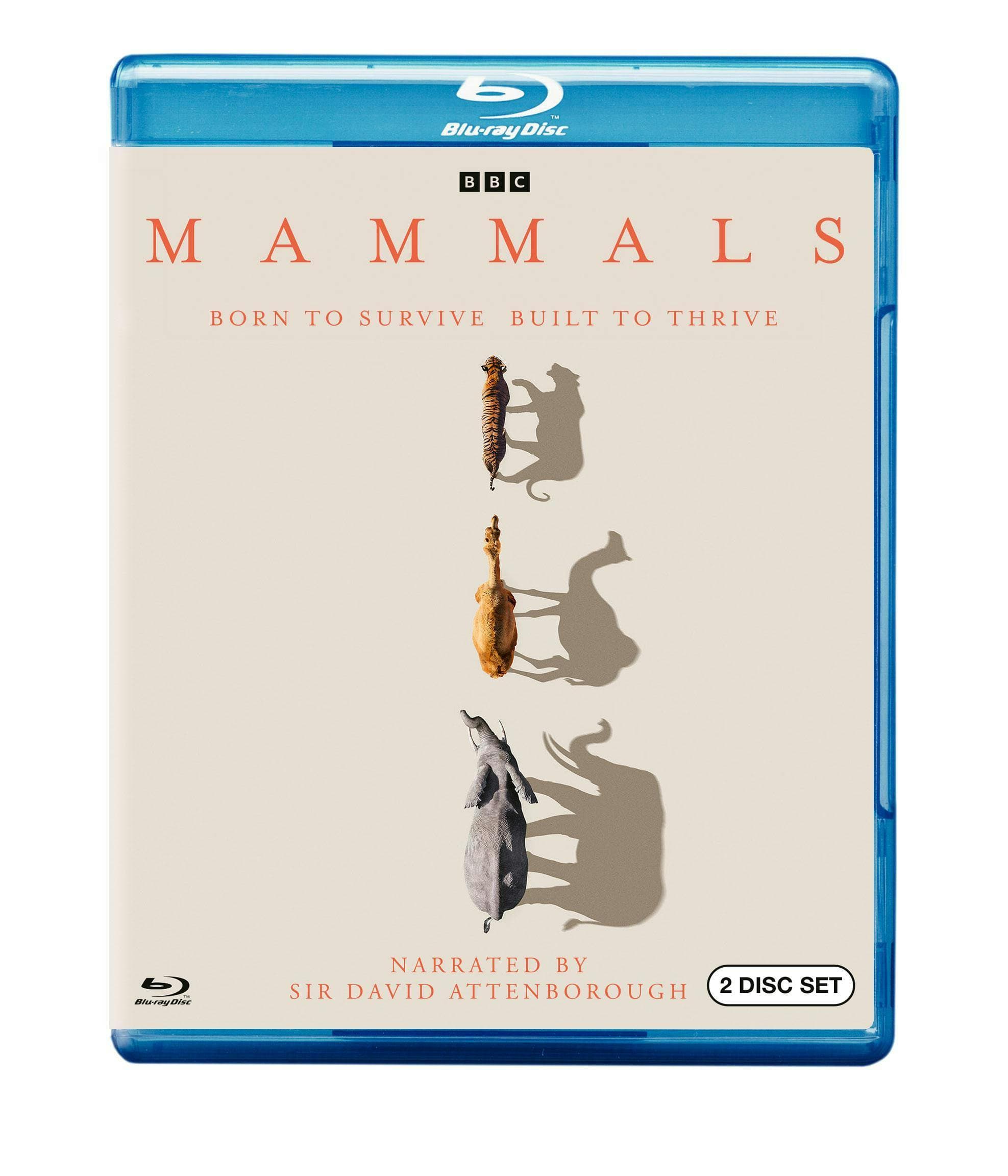Mammals poster
