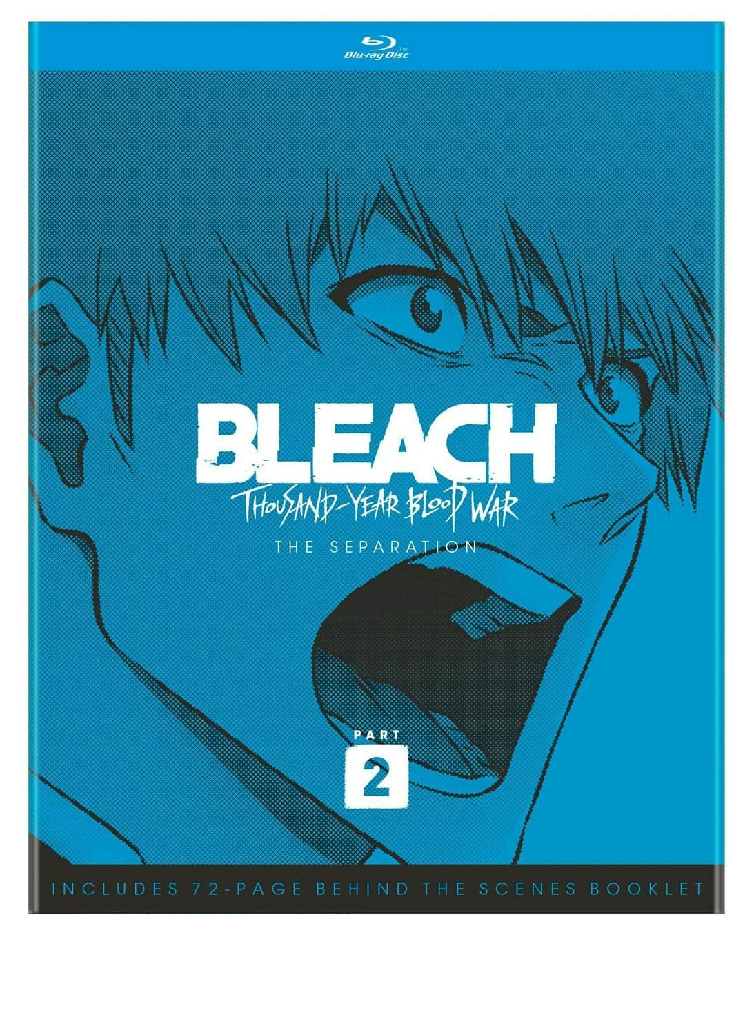 Bleach: Thousand-Year Blood War - Part 2 poster