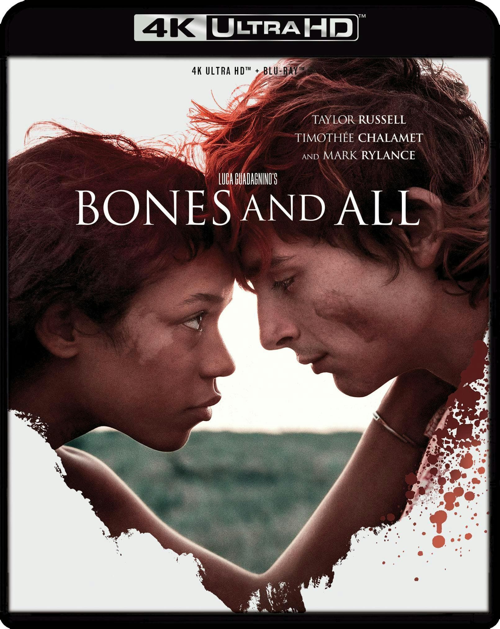 Bones and All poster