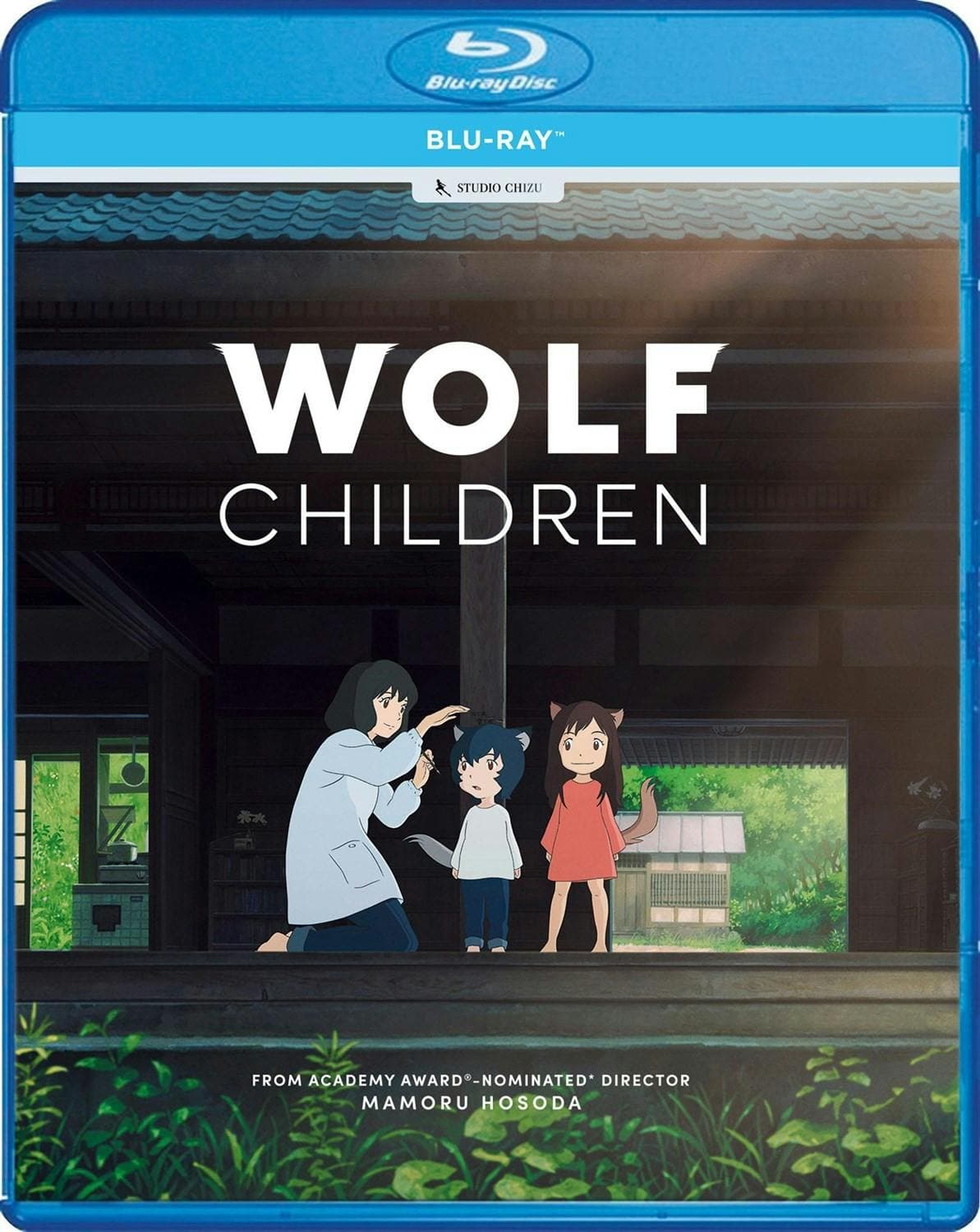 Wolf Children poster