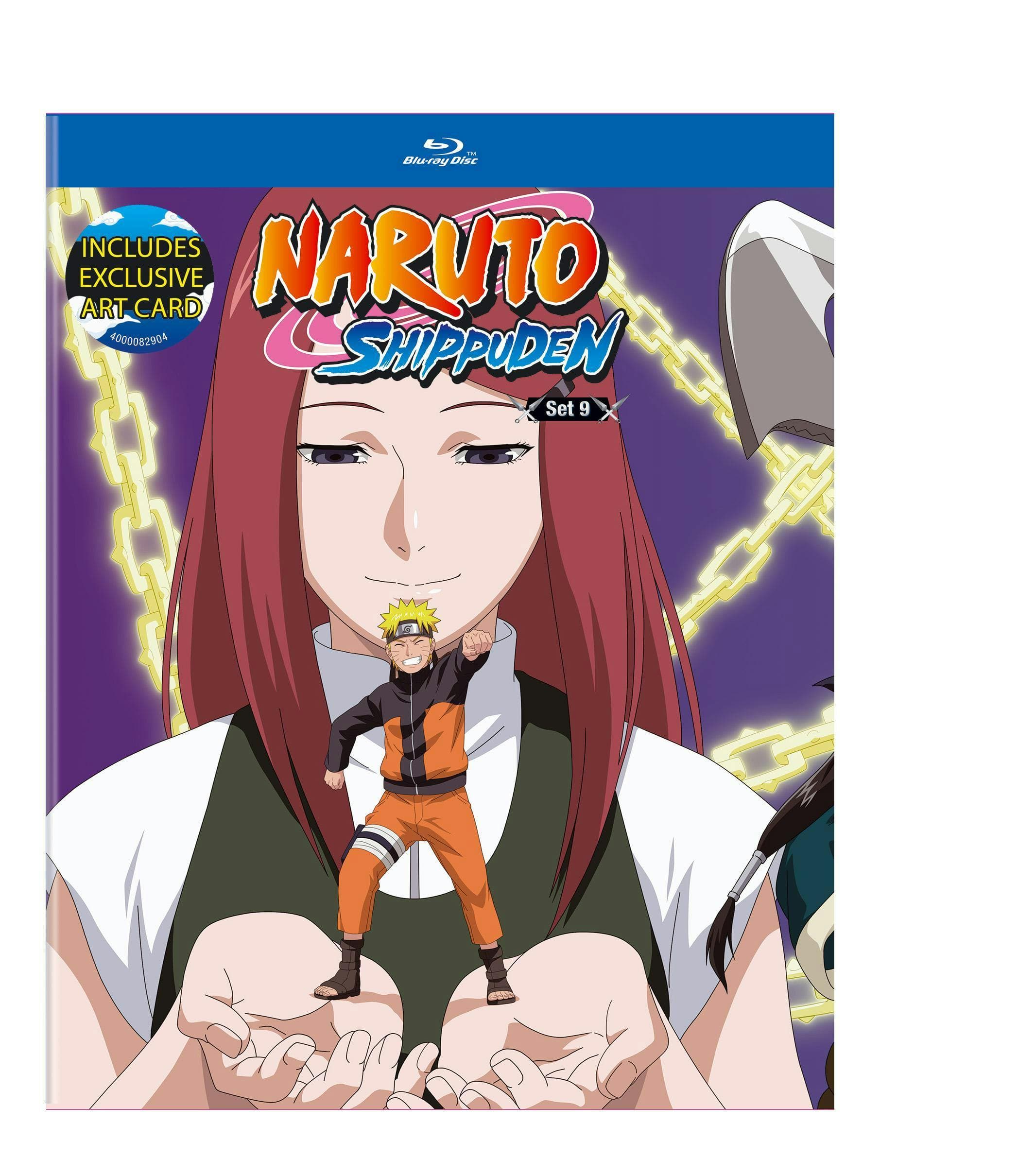 Naruto Shippuden BD Set 9 poster
