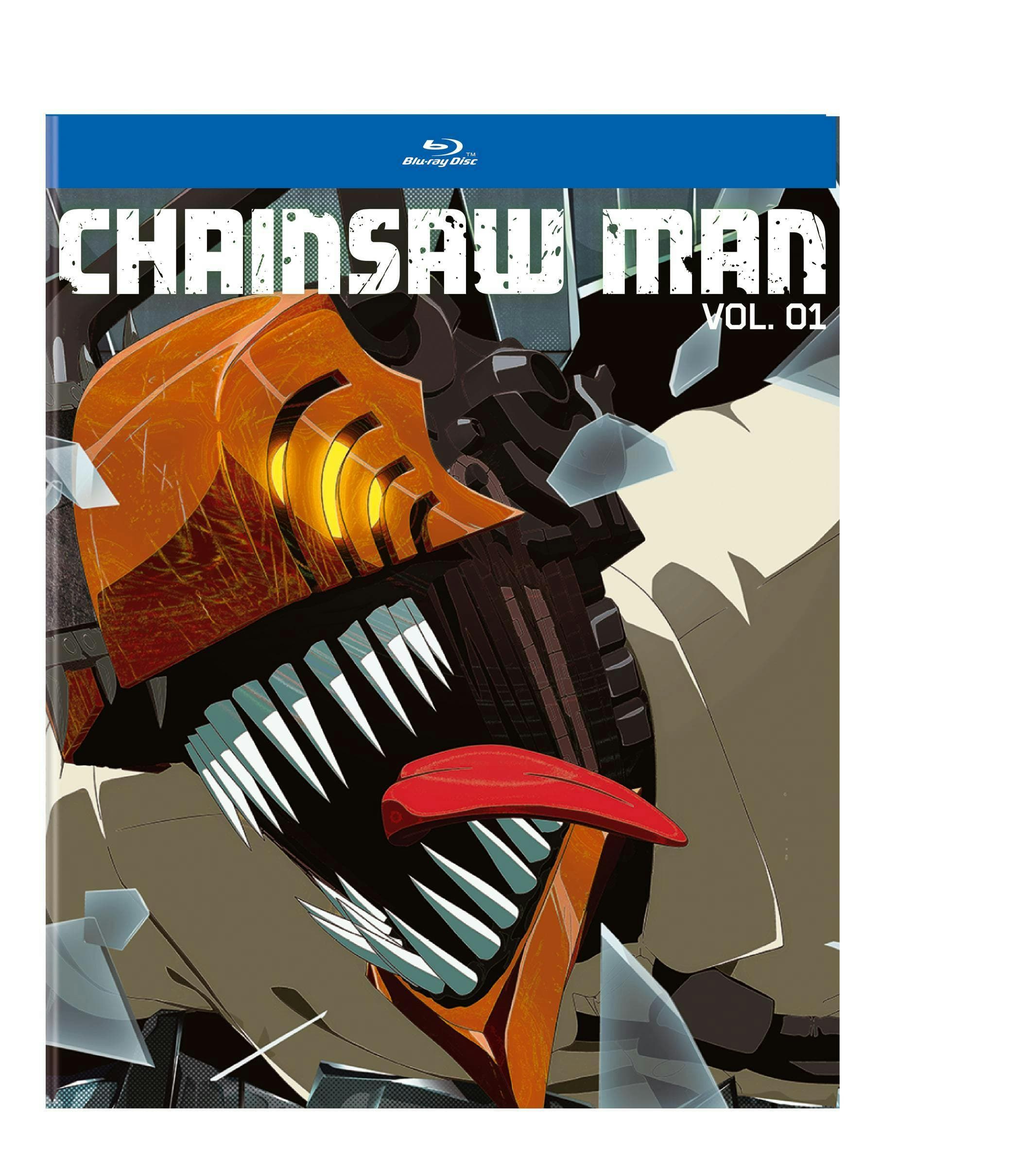 Chainsaw Man Season 1 poster
