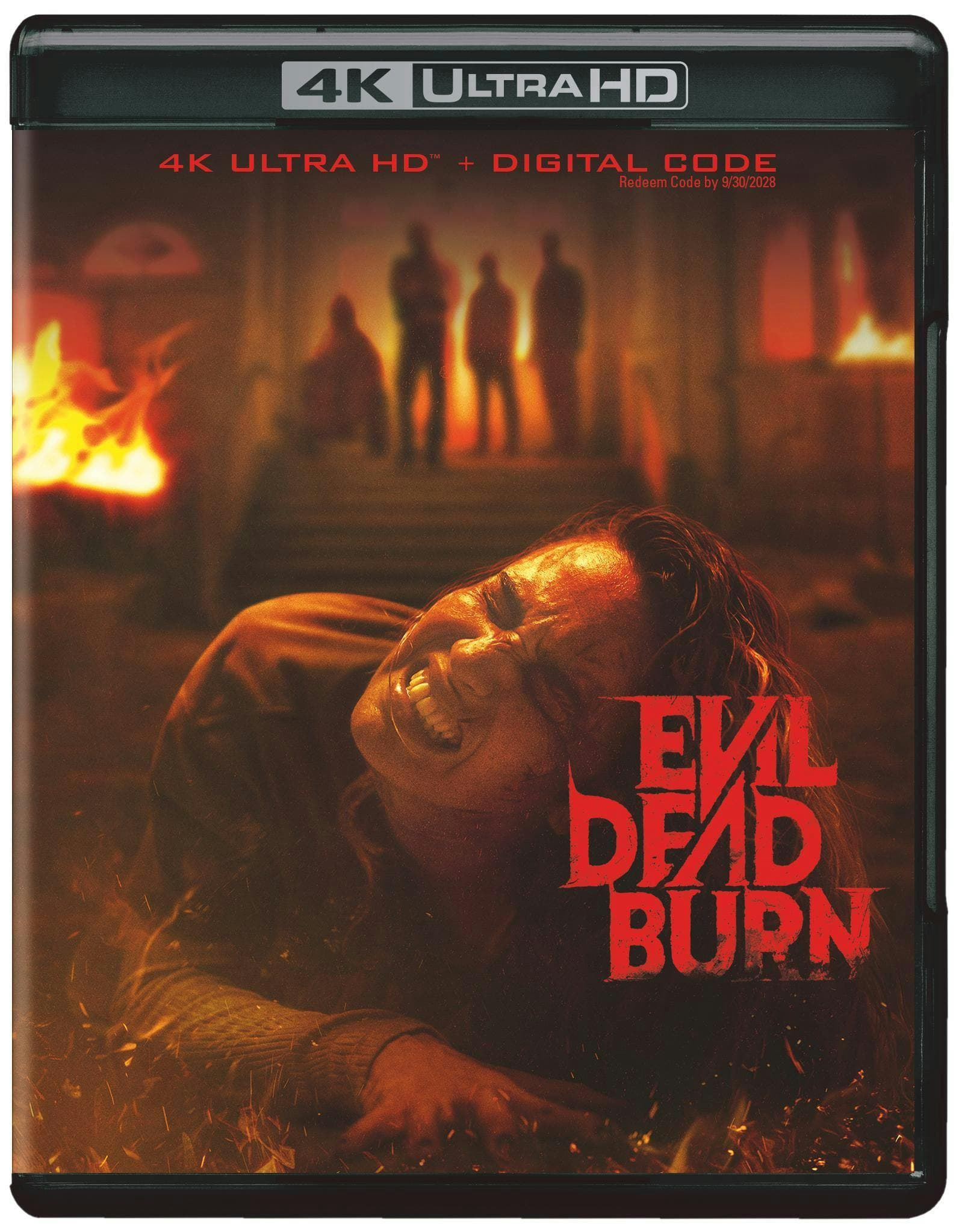 Evil Dead Burn poster