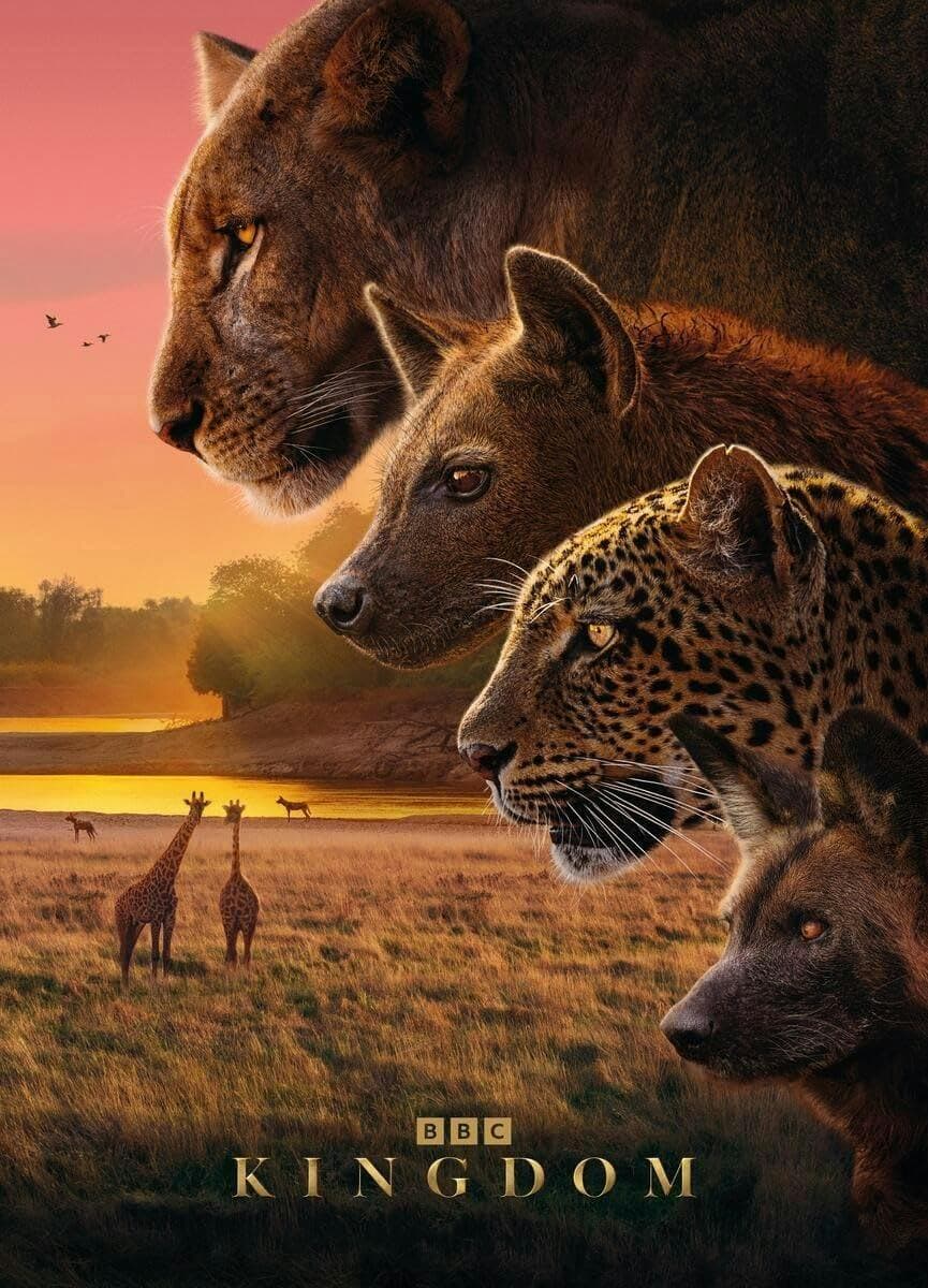 Kingdom poster