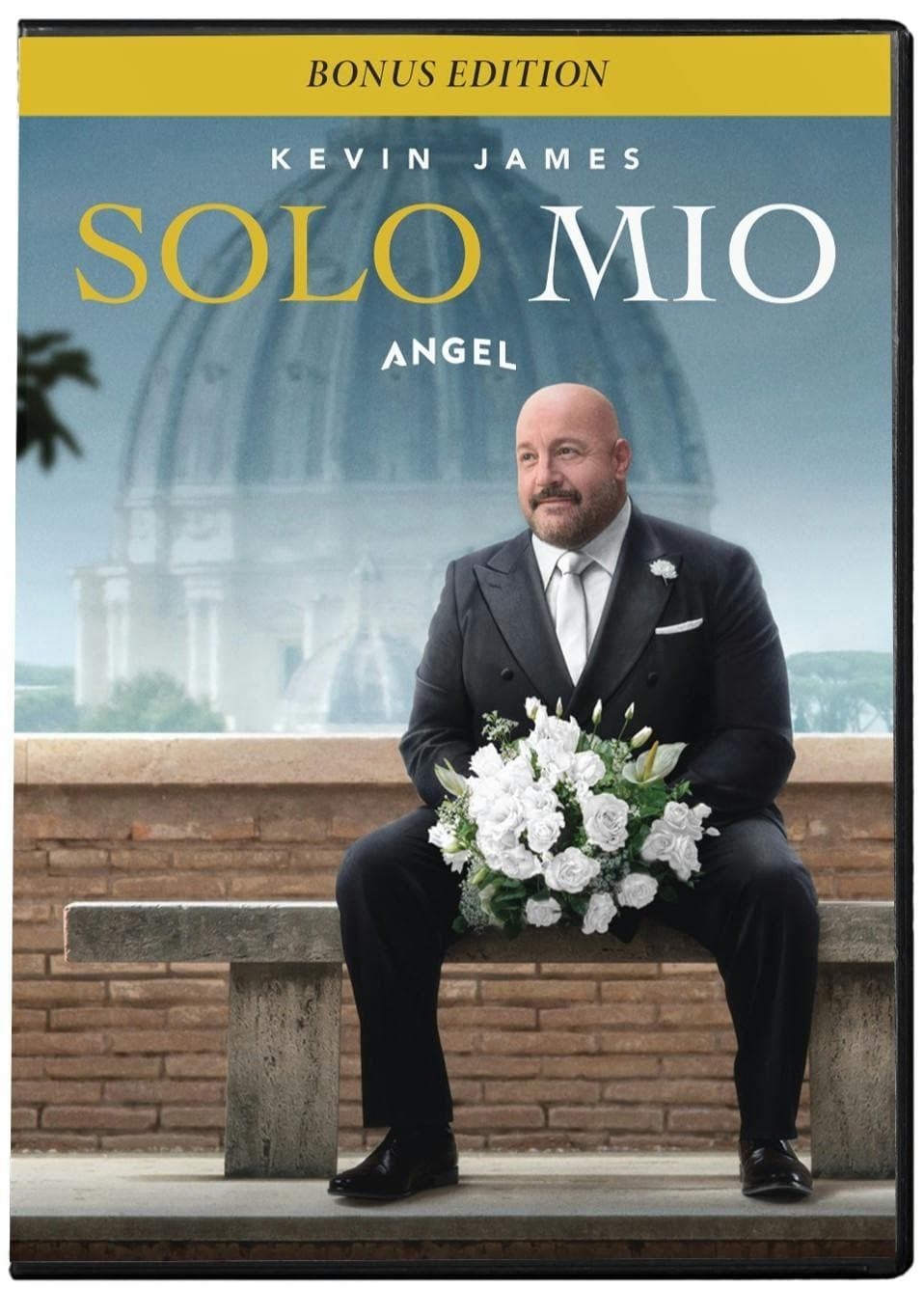 Solo Mio poster