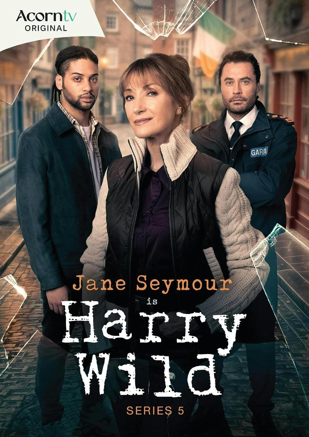 Harry Wild: Series 5 poster