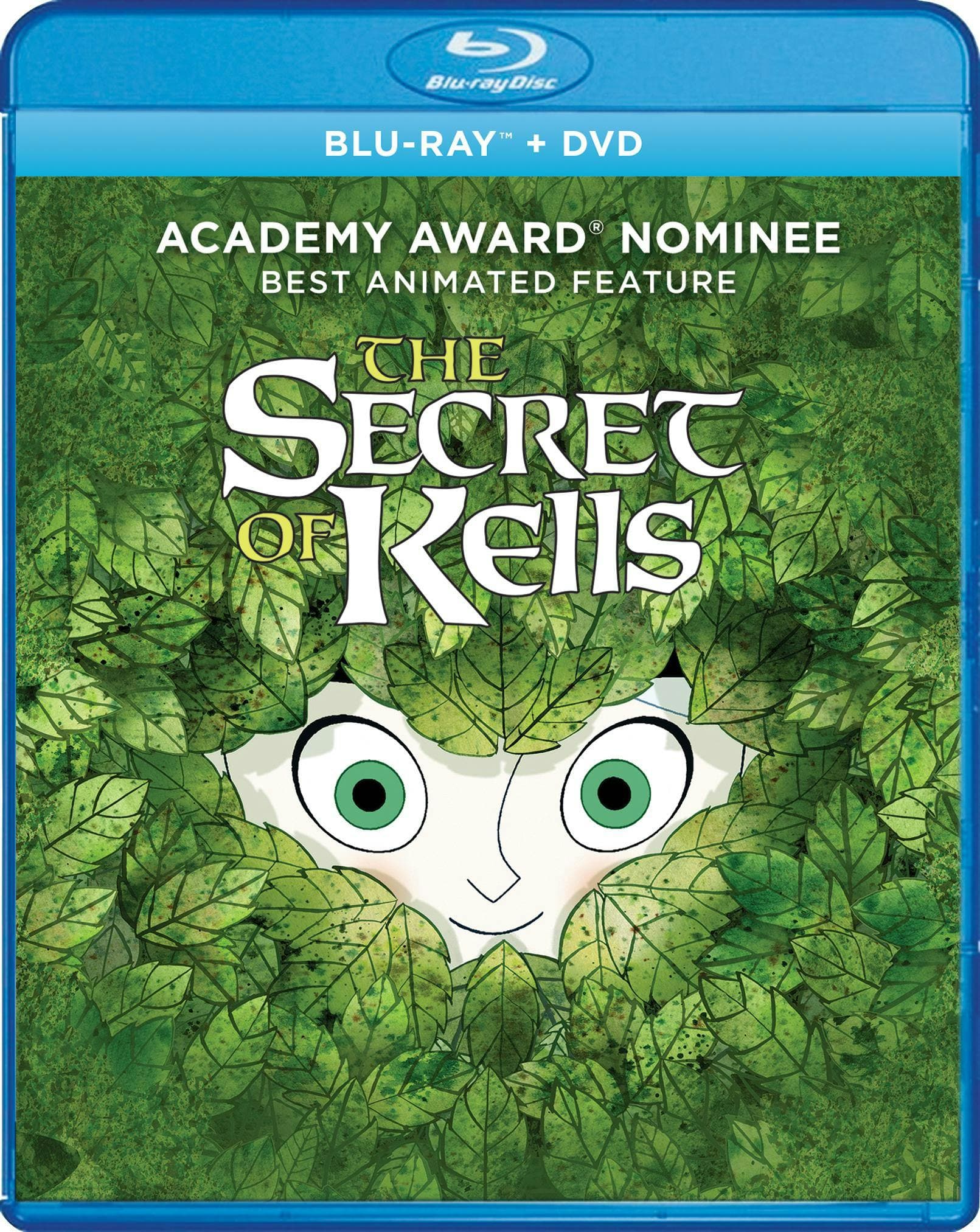 The Secret Of Kells poster