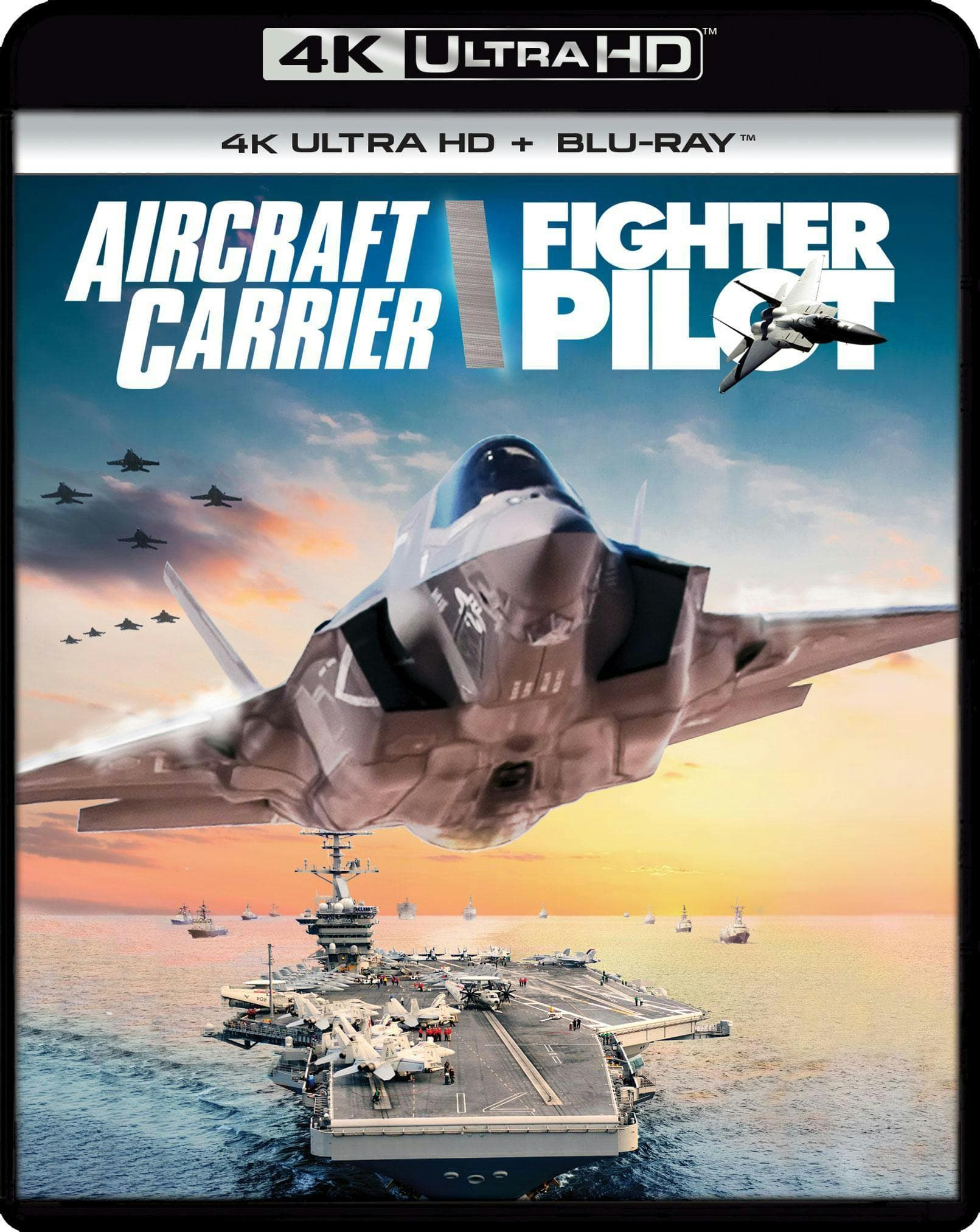 Aircraft Carrier: Guardian of the Seas / Fighter Pilot: Operation Red Flag Double Feature poster