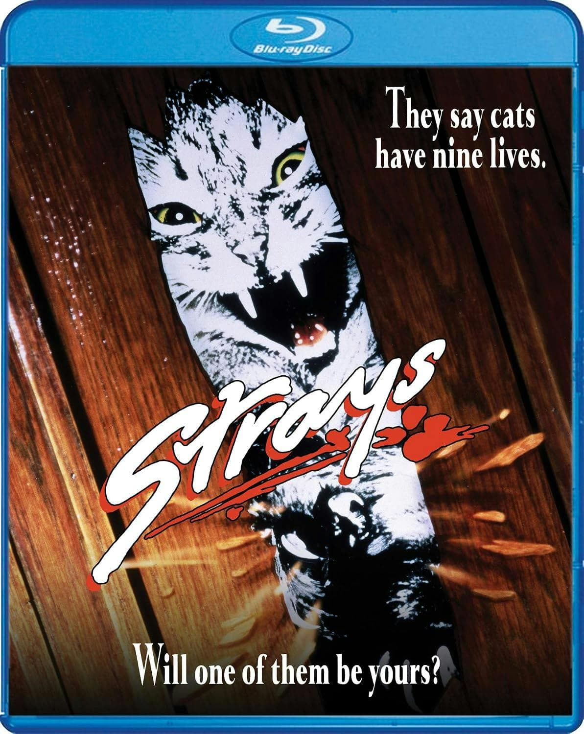 Strays poster
