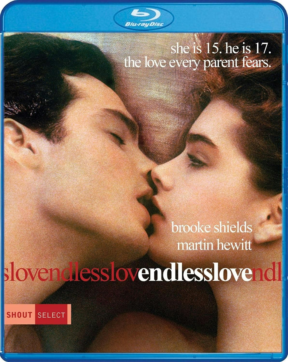 Endless Love poster