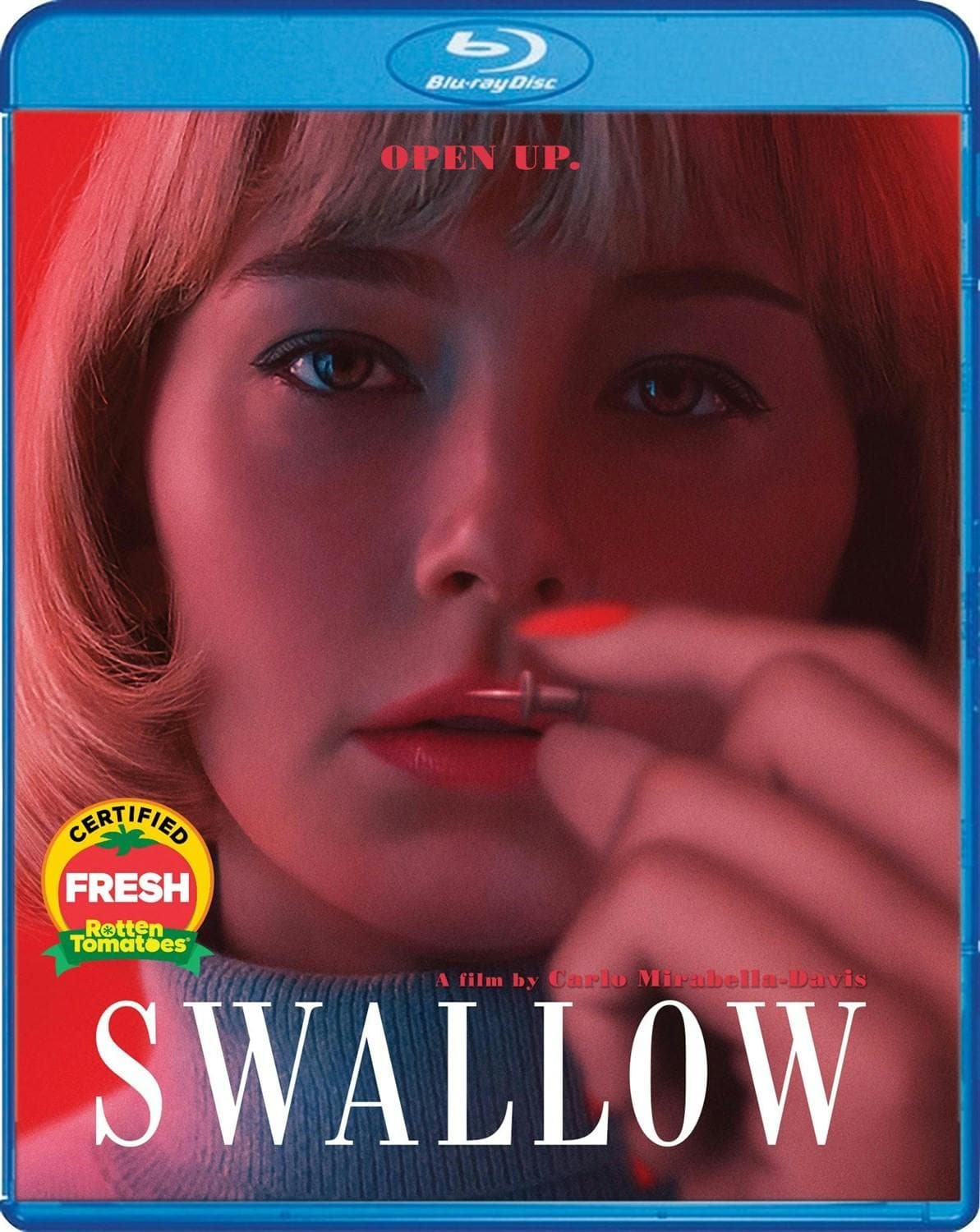 Swallow poster
