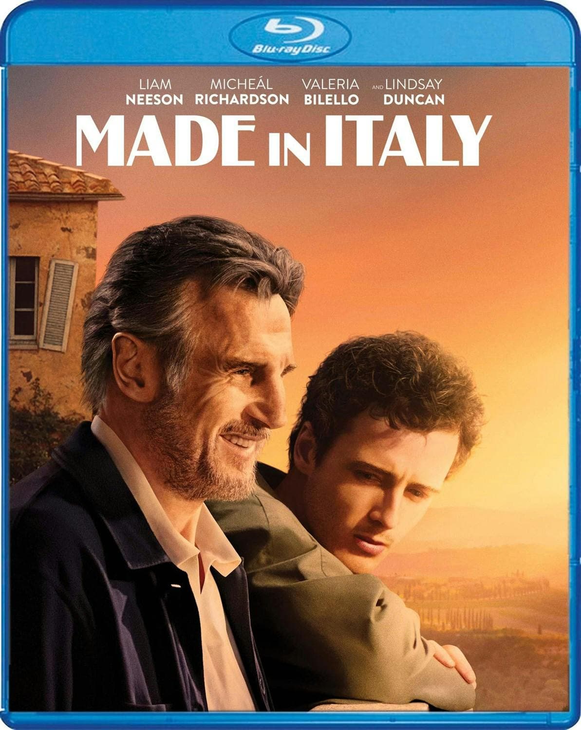 Made In Italy poster