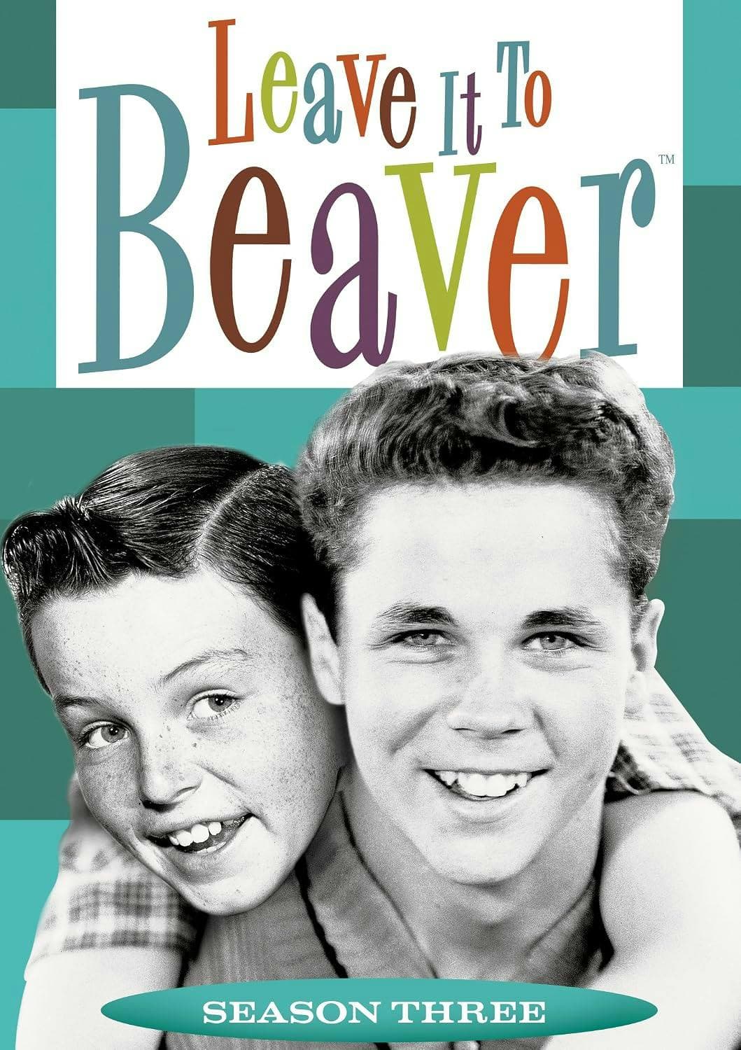 Leave It To Beaver: Season Three poster
