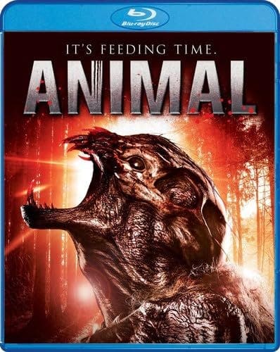 Animal poster