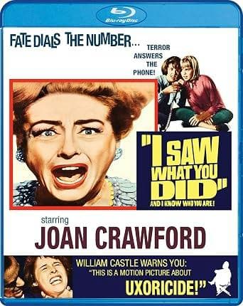 I Saw What You Did poster