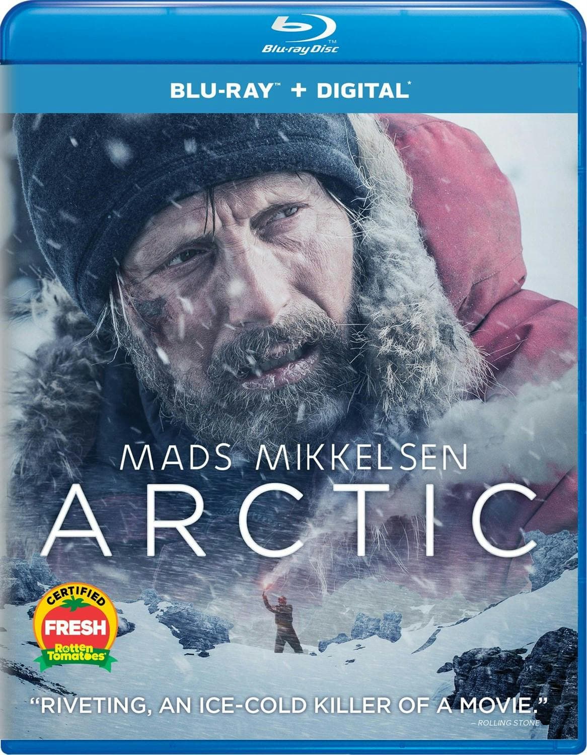 Arctic poster
