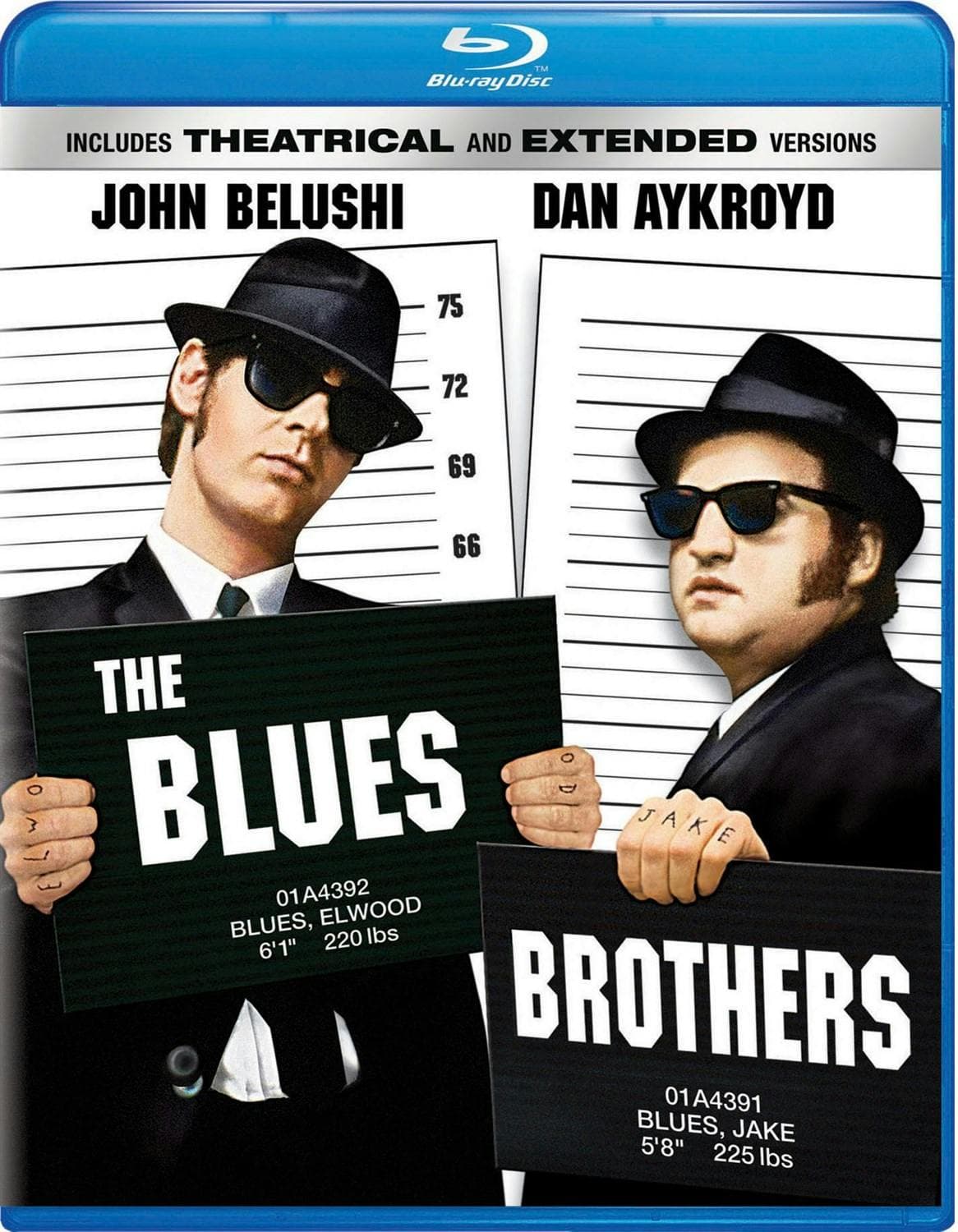 The Blues Brothers poster