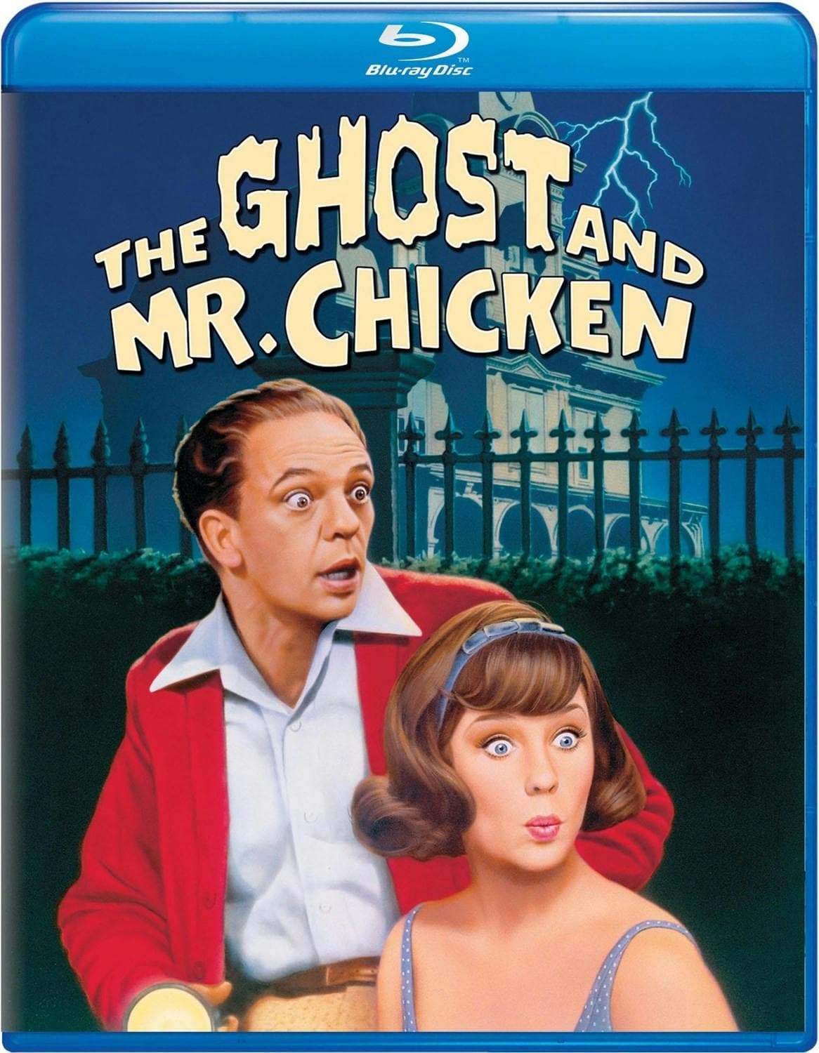 The Ghost and Mr. Chicken poster