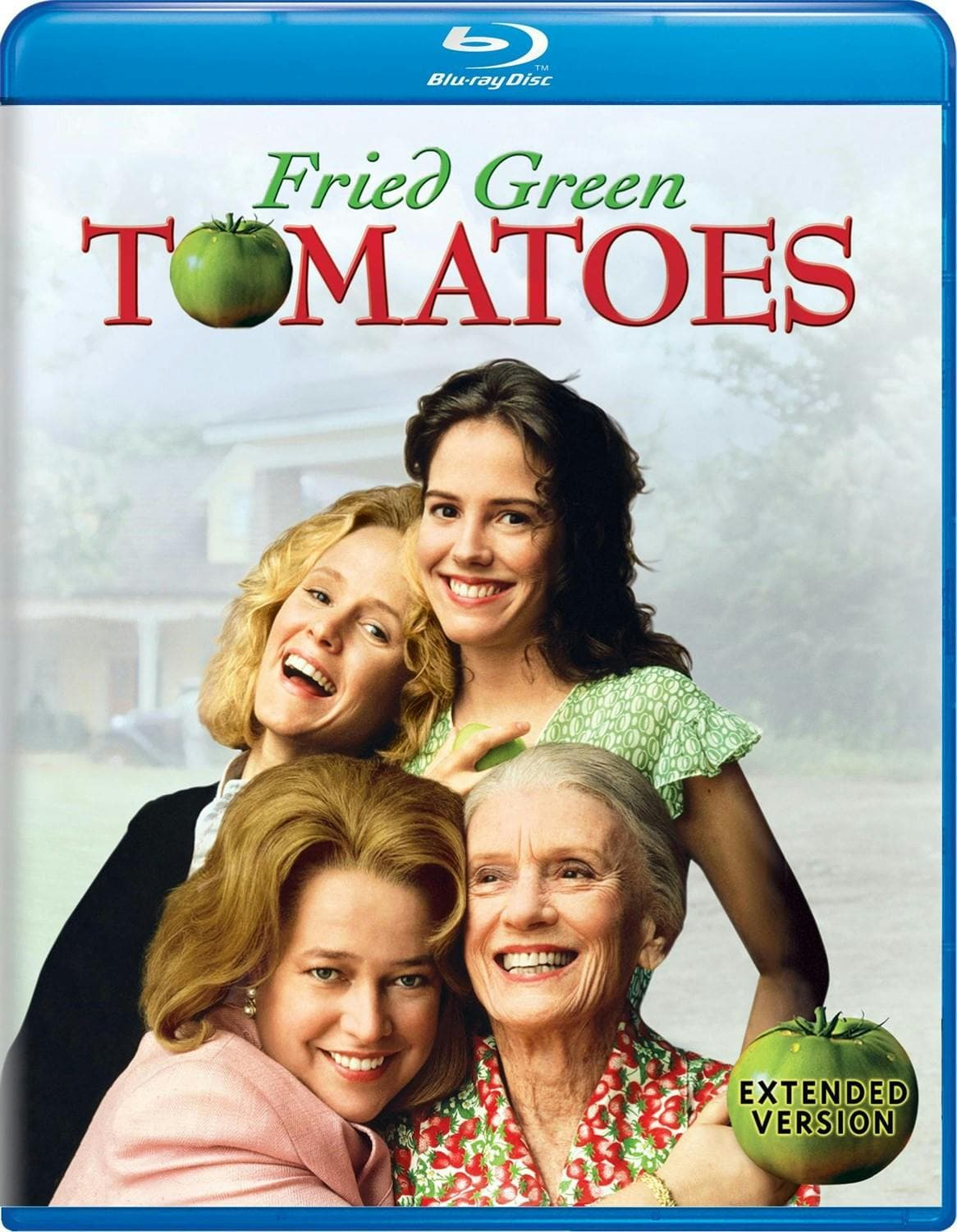 Fried Green Tomatoes poster