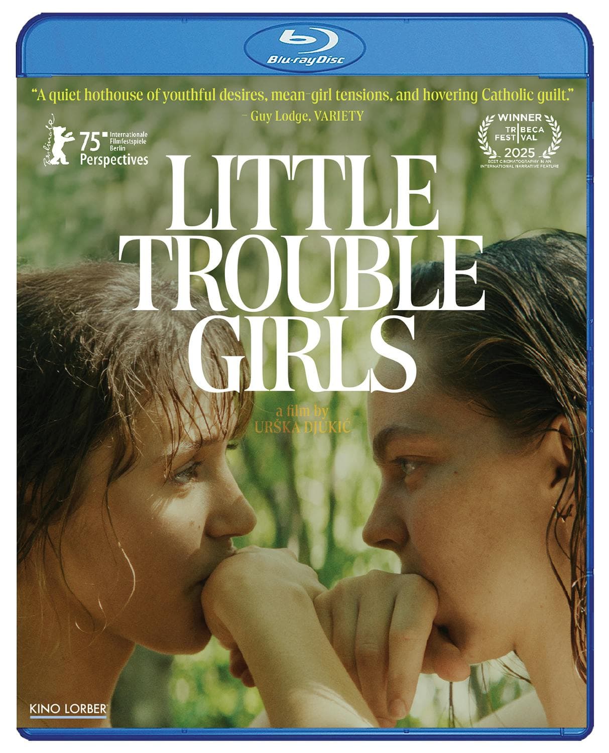 Little Trouble Girls poster