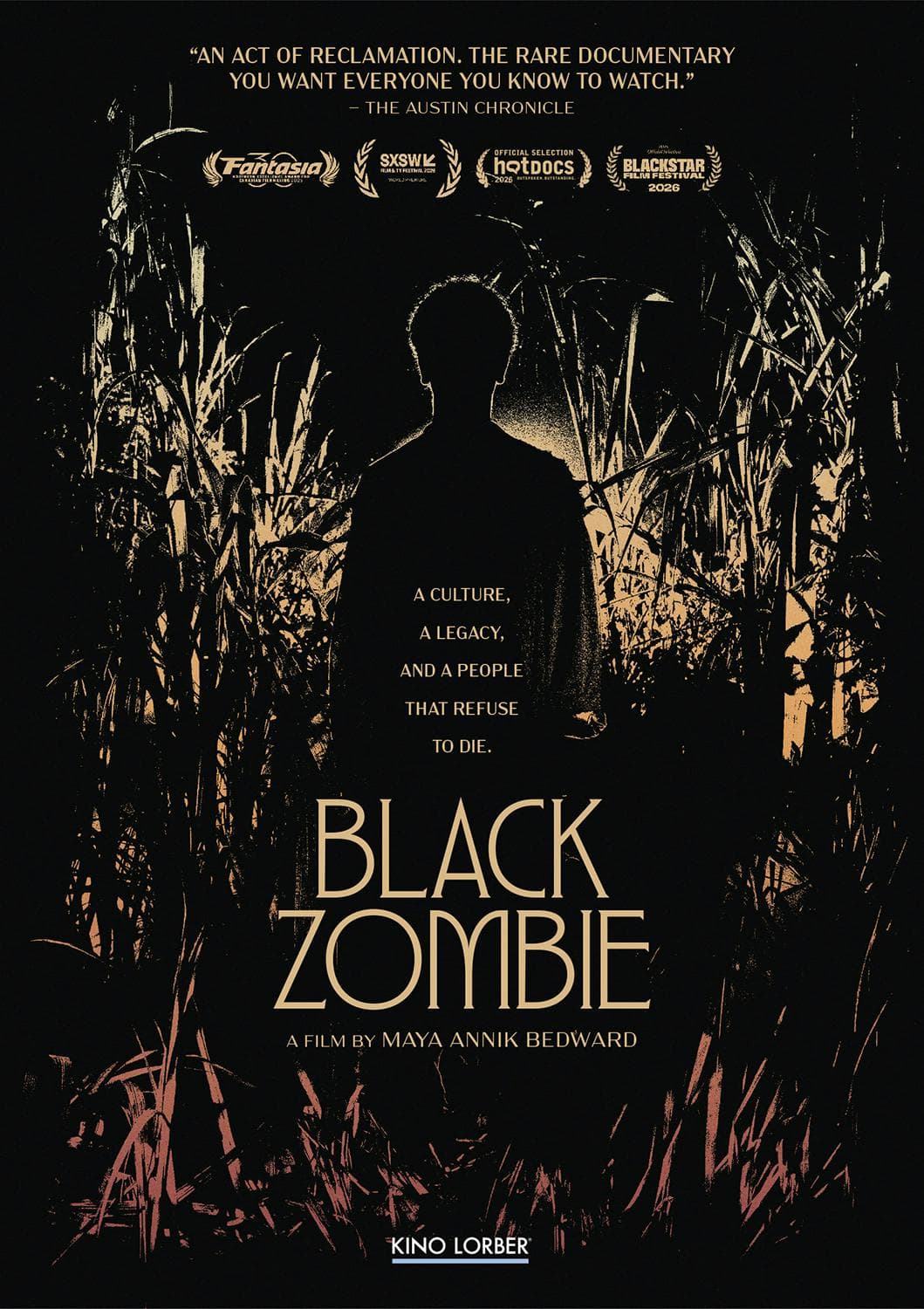 Black Zombie poster