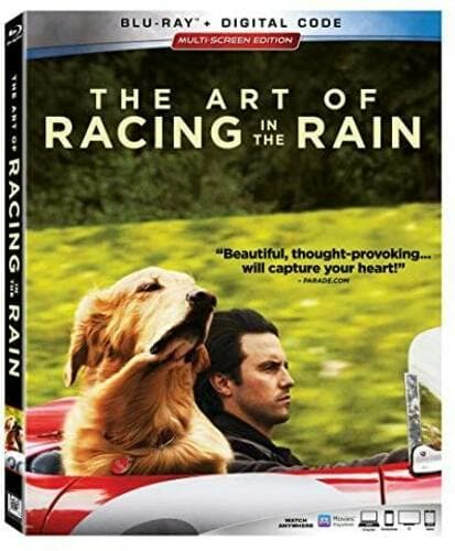 The Art of Racing the Rain poster