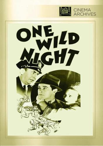 One Wild Night poster
