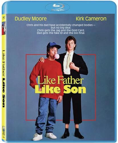 Like Father, Like Son poster