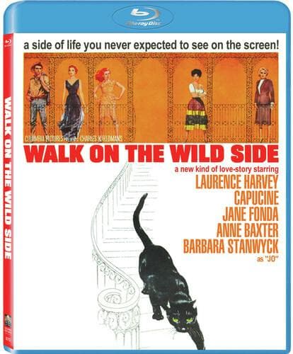 Walk on the Wild Side poster