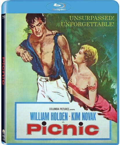 Picnic, The (bd50) poster