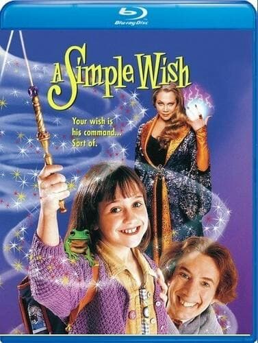 A Simple Wish poster