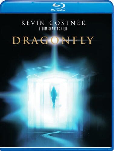Dragonfly poster
