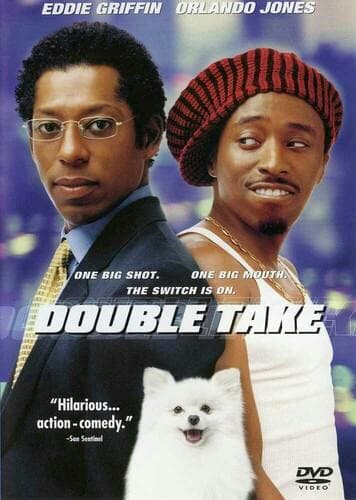 Double Take poster