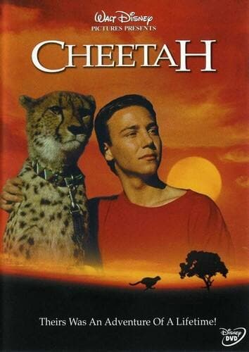 Cheetah poster